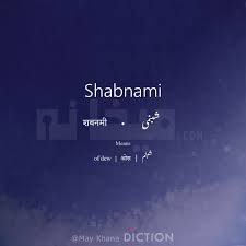 Shabnami Means May Khana Diction Hindi Words Urdu Words With Meaning Urdu Love Words