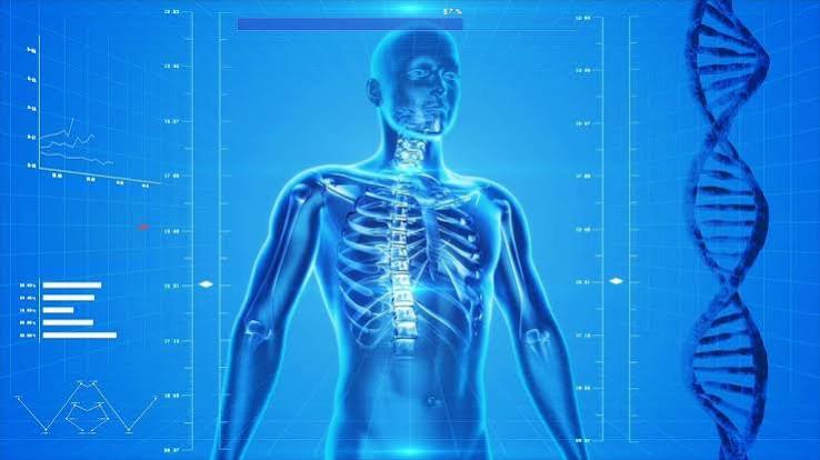 Hormone Blueprint to Achieve Balance for Better Energy, Mood, and Longevity - Sydenham Clinic