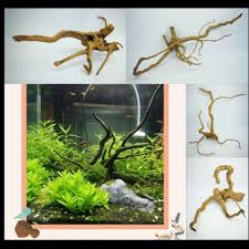 Wood is a simple hardscaping item to anchor plants on and looks great with plant life attached to it. Natural Wood Trunk Driftwood Tree Tree Root Aquascape Decoration Spider Wood é±¼ç¼¸æ²‰æœ¨ Shopee Malaysia