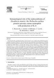 Summer 09 Alumni Magazine_9x12.indd