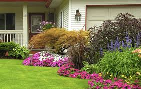 Search for other pest control services in foley on the real yellow pages®. Do My Own Do It Yourself Pest Control Lawn Care Gardening Equipment Animal Care Products Supplies