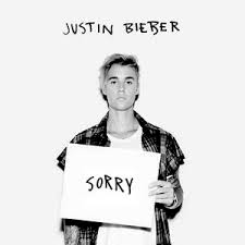 Sorry Justin Bieber Song Wikipedia