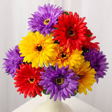 Image result for Gerbera