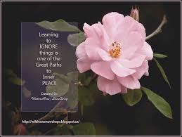 My Poems Recipes English Sinhala Lyrics Quotes Learning To Ignore Things Is Rose Flowers Wallpaper