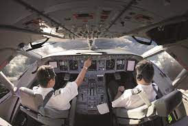 Word origin early 16th century (denoting a person who steers a ship): Pilots And United To Ask For Government Assistance Pilots Union News Flight Global