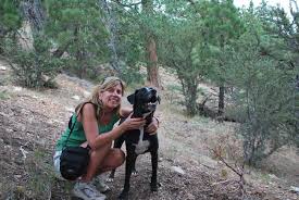 How to keep dog calm during road trips? Road Trip With A Dog Read This First Travelingmom