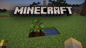 Buildings (4322) castles (24) medieval castles (20) churches (77) famous firms (141) cafés (23) hotels (26) restaurants (60) malls (21) service stations (11) fictional (26) movies (3) New Minecraft Player S Hilarious Tree Plant Fail Goes Viral Dexerto