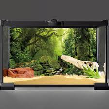 Image result for Terrarium Cling Background