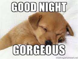 Top Romantic Goodnight Memes Messages For Her Good Night Funny Good Night Hug Good Night Meme