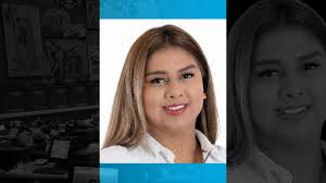 Candidatos a asambleístas nacionales con procesos penales, deudas con el  SRI y saltos patrimoniales