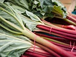 How much does 500ml of water weigh in pounds? Rhubarb Weight How Many Cups Of Rhubarb In A Pound