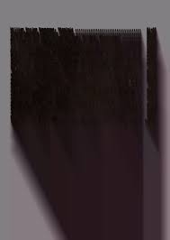 Rowntree and Rountree family history, 1521-1953