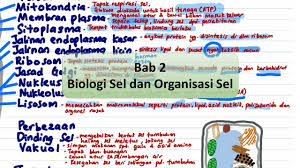 Namun terdapat hal perbedaan yang bisa kita amati dari beberapa bagian dan fungsinya. Biologi Spm T4 Bab 2 Biologi Sel Dan Organisasi Sel Youtube