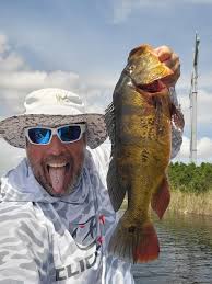 Lost breeder group put together