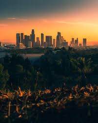 2124 bee ridge road next door to sunset cadillac sarasota sarasota, fl 34239. Los Angeles Sunsets With No Smog Pics