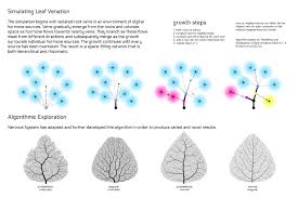 Anastasionico.uk a couple of days ago, a colleague of mine showed me a tv commercial that was broadcast on tv a few years ago. Poster Leaf Venation 2 Nervous System