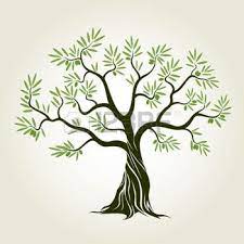 Olive Tree Stock Illustrations Cliparts And Royalty Free Olive Tree Vectors Olive Tree Tattoos Tree Drawing Tree Illustration