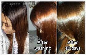 I Used Half Bottle Of Light Ash Brown And A Full Bottle Of Bright Auburn Revlon Colorsilk D Ammonia Free Revlon Colorsilk Grow Hair Makeup Skin Care