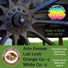 MMS Drop 💧 happening soon! - Overgrow.com