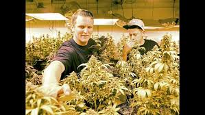 How to fund cops? Town considers marijuana tax