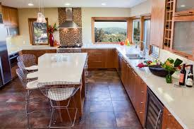 Custom Contemporary Kitchen Cabinets Alder Wood Java Finish Shaker