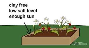Farine de sang, sang frais french; How To Use Blood Meal 9 Steps With Pictures Wikihow