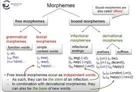 A functional morpheme (as opposed to a content morpheme) is a morpheme which simply modifies the meaning of a word, rather than supplying the root meaning. Terminology And Concepts Flashcards Quizlet