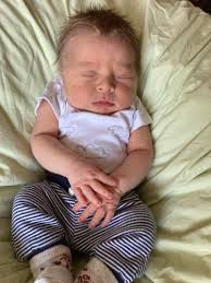 News of the Camp Family Archives