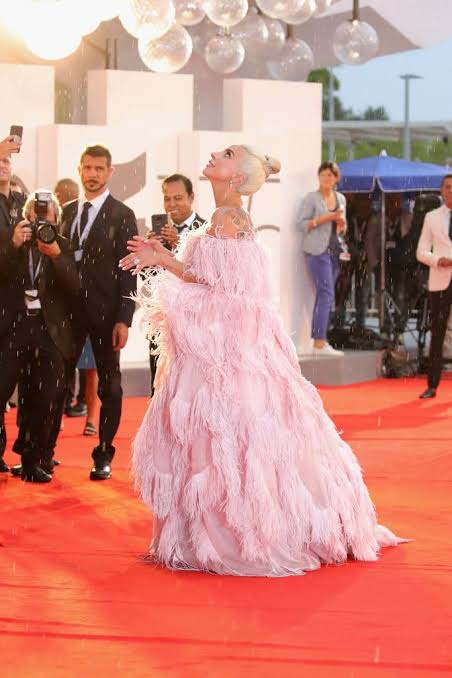 images?q=tbn:ANd9GcTY11iMDhbz0o4Dr3p9bJe