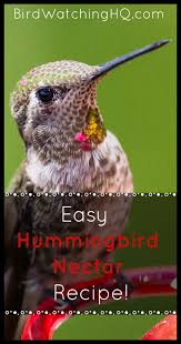 Place the feeder where you can easily observe hummingbirds from a distance, such as from the kitchen table. How To Make Hummingbird Nectar Using Two Ingredients Hummingbird Food Homemade Hummingbird Food Nectar Recipe