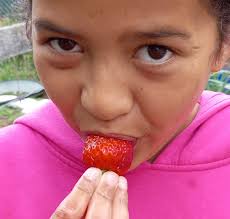 What are the best strawberry varieties for growing big and sweet berries?