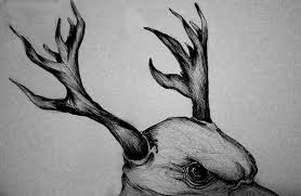 See more ideas about drawings, animal drawings, art. Imaginary Animal On Behance
