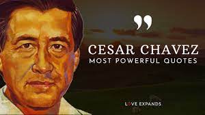Cesar chavez sayings and quotes. 28 Famous Cesar Chavez Quotes Love Expands