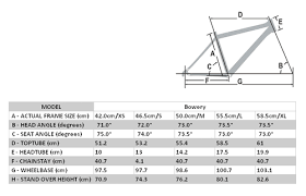 Cinelli Vigorelli Sizing Lfgss