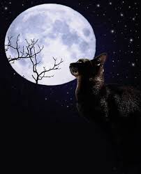 By The Light Of The Silvery Moon Fantasy Pictures Sun Moon Stars Animals Friends