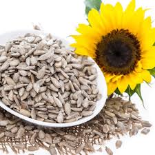 Health Icon Veeramachaneni Diet Products Such As Veeramachaneni Coconut Oil Ba Dam Walnut Pista Watermelon Seeds Sun Healthy Seeds Sunflower Seeds Health Icon