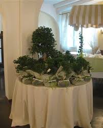 Le Nostre Bomboniere Bonsai Sono Meravigliose Idee Regalo