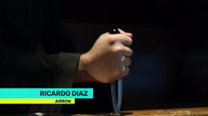 Ricardo díaz, 25, from mexico dorados de sinaloa, since 2020 goalkeeper market value: Ricardo Diaz Arrowverse Wiki Fandom
