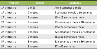 Idade Gestacional Calculadora De Gravidez Semanas Em Meses Tabela Gestacional Como Transformar Semanas Em Meses Em 2020 Tempo De Gestacao Semanas Em Meses Semanas Da Gestacao