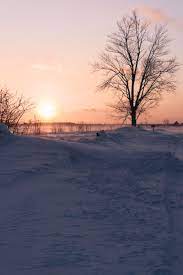 roadtrip durch michigan 300 meilen schonster strassen auf die upper peninsula familienreiseblog koln format abenteuerreisen michigan reiseziele