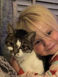 STILL MISSING 😢 13.08.25 NEW CROSS SE14 AMERSHAM VALE PDSA She escaped her  cat basket going to the PDSA, she is 7 miles away from home so doesn't know  the area. She