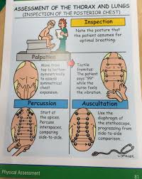 Assessment Of The Thorax And Lungs Health Assessment Nursing Nurse Nursing School Survival