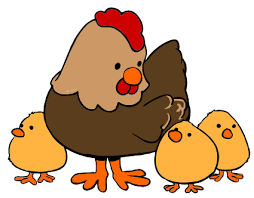 Image result for cartoon hen