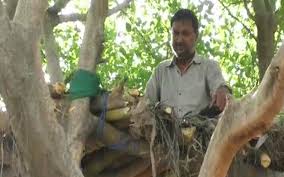 Share,like,subscribe and enjoy guys ig :arfnzn (teamreefzgaming) trg_arfnzn trg_leo trg_error00 trg_dans trg_4domz trg_irpgl trg_ghostboy atas ni. Kreatif Bina Rumah Atas Pokok Asingkan Diri Elak Dijangkiti Covid 19 Free Malaysia Today Fmt