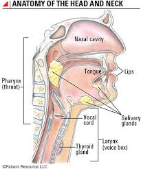 Like any other cells in the body, the cells in the thyroid gland have the potential to become cancerous. Patient Resource Publishing Immunotherapy Head And Neck