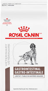 The same dry kibble day after day? Royal Canin Veterinary Diet Gastrointestinal Low Fat Dry Dog Food 6 6 Lb Bag Chewy Com