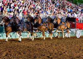 Community Enterainment At This Weekend's Draft Horse Classic