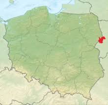 97 und 124 zentimeter) und eine schulterhöhe von 60 bis 80 zentimetern. Bialowieza Urwald Wikipedia