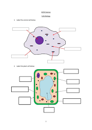 Cell membrane is made up of lipids and proteins and forms a barrier between the extracellular liquid. Gcse Cell Biology Teaching Resources