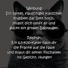 Werbung Ein Zartes Spruche Zitate Und Gedichte Facebook